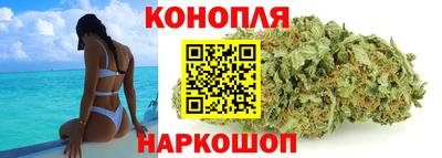 МДПВ Гусев