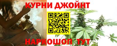 МДПВ Гусев