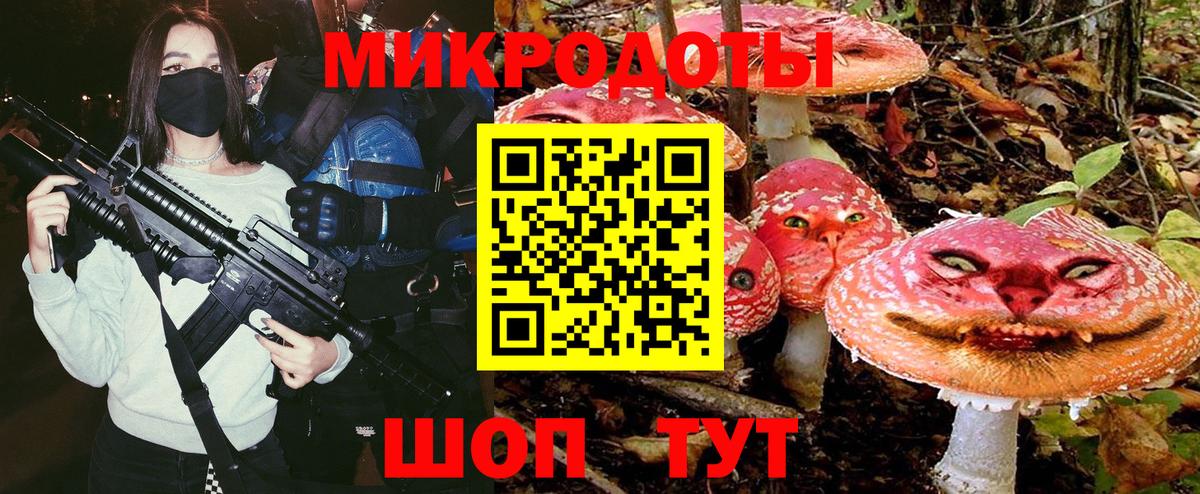 Галлюциногенные грибы MAGIC MUSHROOMS Курчалой