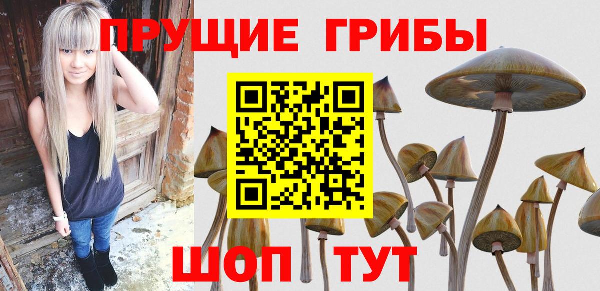 Галлюциногенные грибы GOLDEN TEACHER  Вход с VPN  Курчалой 